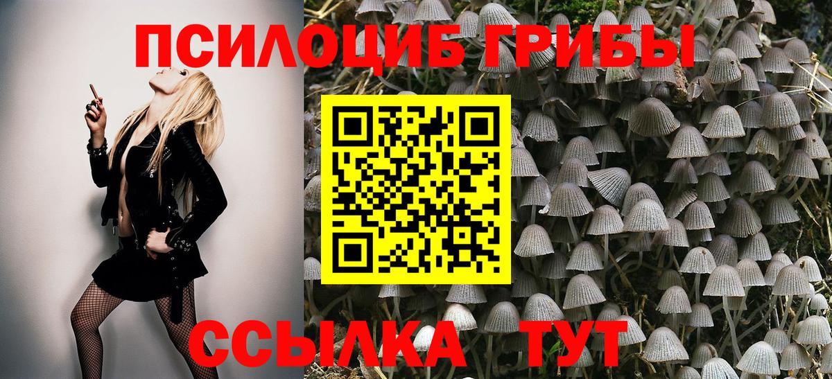 Шелехов  Галлюциногенные грибы MAGIC MUSHROOMS  Вход с VPN  Псилоцибиновые грибы Psilocybe 